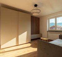 Ein Zimmer in einer Einzimmerwohnung mit einem Boden in Holzoptik, einem Sofa und einem Kleiderschrank.
