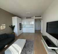 Wohnzimmer in einer 2-Zimmer-Wohnung mit Küche, Sofa und Holzboden.