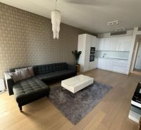Wohnzimmer in einer 2-Zimmer-Wohnung mit Holzboden, Sofa und Küchenzeile.
