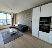 2-Zimmer-Wohnung mit Holzboden, Sofa, Küche, Aussicht, Fenster, Teppich.