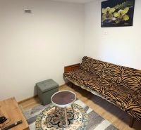 Ein Zimmer in einem Einfamilienhaus mit einem Sofa mit Tiermuster und einem Boden in Holzoptik.