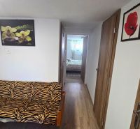 Der Flur in einem Einfamilienhaus mit einem Sofa im Zebramuster und Bildern an den Wänden.