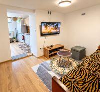 Innenraum eines Einfamilienhauses mit Holzboden, Sofa und Fernseher.