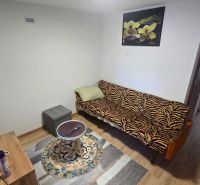 Wohnzimmer in einem Einfamilienhaus mit Holzboden, Sofa und Fernseher.