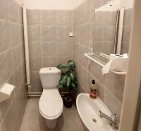 Badezimmer in einer 2-Zimmer-Wohnung mit Fliesen, Waschbecken, Toilette und dekorativer Pflanze.