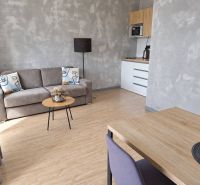 Minimalistisches Wohnzimmer in einer Zweizimmerwohnung mit Holzboden und grauem Sofa.