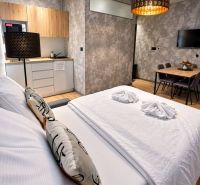 Schlafzimmer und Küchenzeile in einer 2-Zimmer-Wohnung mit Holzboden.