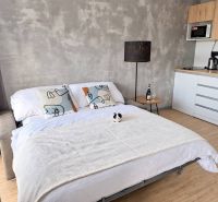 2-Zimmer-Wohnung mit einem Sofa, das zu einem Bett ausgezogen werden kann, einer Küchenzeile und einem Boden in Holzoptik.