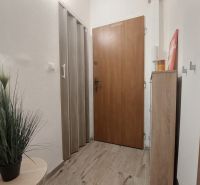 Eingangsbereich eines Einzimmerapartments mit Holzboden, einer grünen Pflanze und einem Eckschrank.