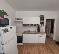 Küche in einem Einzimmerapartment mit Mikrowelle, Kühlschrank und Holzboden.