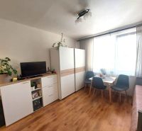 Einzimmerwohnung mit Holzboden, Schrank, Tisch und Fernseher.