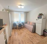 Einzimmerwohnung mit Holzboden, Tisch mit Stühlen und Sofa.