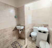 Badezimmer in einem Studio-Apartment mit Toilette, Waschbecken und Waschmaschine; Boden mit Holzdekor.