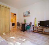 Einzimmerwohnung mit hellem Wohnzimmer, Holzboden und Kochnische.