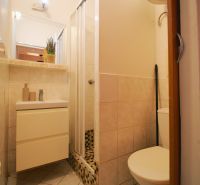 Badezimmer in einem Einzimmerapartment mit Dusche und Waschbecken.