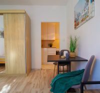 Einzimmerwohnung mit Holzboden, Tisch und Pflanze, gemütliche Einrichtung.