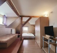 Innenraum einer Ferienwohnung mit Bett, Fernseher und Holzboden.