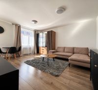 Wohnzimmer in einer Zweizimmerwohnung mit Holzboden, Sofa und Esstisch.