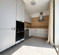 Küchenzeile in einer 2-Zimmer-Wohnung, helle Elemente, Boden mit Holzdekor, eingebaute Geräte.