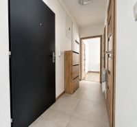 Flur in einer 2-Zimmer-Wohnung mit Boden in Holzoptik, hellen Wänden und schwarzen Türen.