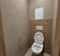 WC mit Keramikfliesen und Boden in Holzoptik in einer 2-Zimmer-Wohnung.