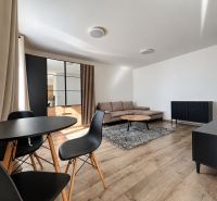 Wohnzimmer in einer Zweizimmerwohnung mit Holzboden, schwarzen Möbeln und einem Sofa.