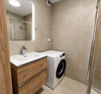 Badezimmer in einer 2-Zimmer-Wohnung mit Waschmaschine und Schrank mit Holzdekor.