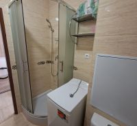 Duschkabine mit Waschmaschine und Toilette in einem Einzimmerapartment.