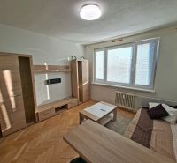 Einzimmerwohnung mit hellen Möbeln, Sofa und Boden in Holzoptik.