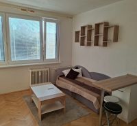 Einzimmerwohnung mit Holzboden, Sofa, Tisch und Hängeregal.