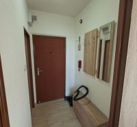 Eingangsflur in einem Studio-Apartment mit einem Schrank und Holzdekor auf dem Boden.