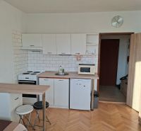 Küchenecke mit Holzboden in einem Einzimmerapartment.