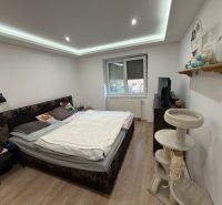 Schlafzimmer in einer 2-Zimmer-Wohnung mit Holzboden und einem Katzenkratzbaum.