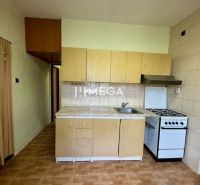 Küche in einer 2-Zimmer-Wohnung mit Küchenzeile und Bodenbelag in Holzoptik.
