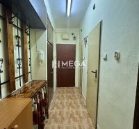Der Flur in der 2-Zimmer-Wohnung mit einer Garderobe und einem Boden in Holzoptik.