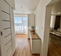 Innenraum einer Einzimmerwohnung mit hellem Wohnzimmer und Boden in Holzoptik.