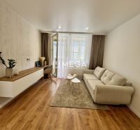 Wohnzimmer in einer Einzimmerwohnung mit einem Sofa und einem Boden in Holzoptik.