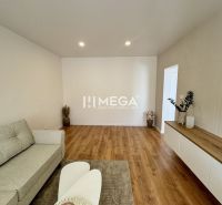 Wohnzimmer in einer Einzimmerwohnung mit Holzboden, Sofa und Dekoration.