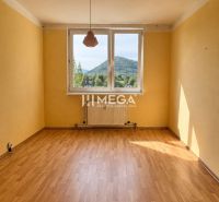 Ein Zimmer in einer 3-Zimmer-Wohnung mit einem Holzboden und einem großen Fenster mit Aussicht.