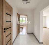 Flur in einer 3-Zimmer-Wohnung mit Holztüren und einem Boden in Holzoptik.