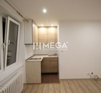 Küche in einer Ferienwohnung mit Küchenzeile und Boden in Holzoptik.