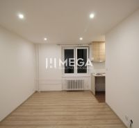 Wohnzimmer in einer Ferienwohnung mit Holzboden und einfacher Küchenzeile.
