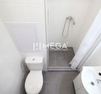 Badezimmer in einer Ferienwohnung mit Toilette, Dusche und Waschbecken.