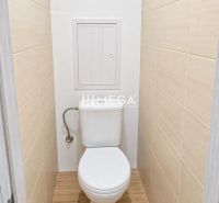 Badezimmer in einer 2-Zimmer-Wohnung mit Fliesen und Boden in Holzoptik.