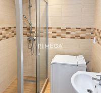 Badezimmer mit geräumiger Dusche und Waschmaschine in einer 2-Zimmer-Wohnung.