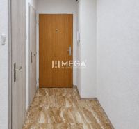 Der Flur einer 2-Zimmer-Wohnung mit einem Boden in Marmoroptik und weißen Wänden.