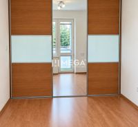 Boden mit Holzdekor, Einbauschrank und Leuchte in einer 2-Zimmer-Wohnung.
