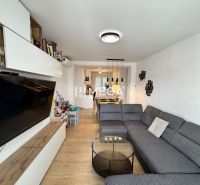 Wohnzimmer in einer 3-Zimmer-Wohnung mit Holzboden und grauem Sofa.