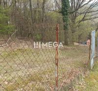 Ein Holzzaun im Garten an der Straße in Humenné, umgeben von Bäumen.