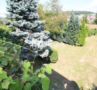 Garten beim Einfamilienhaus in der Kudlovská-Straße in Humenné mit Nadelbäumen.